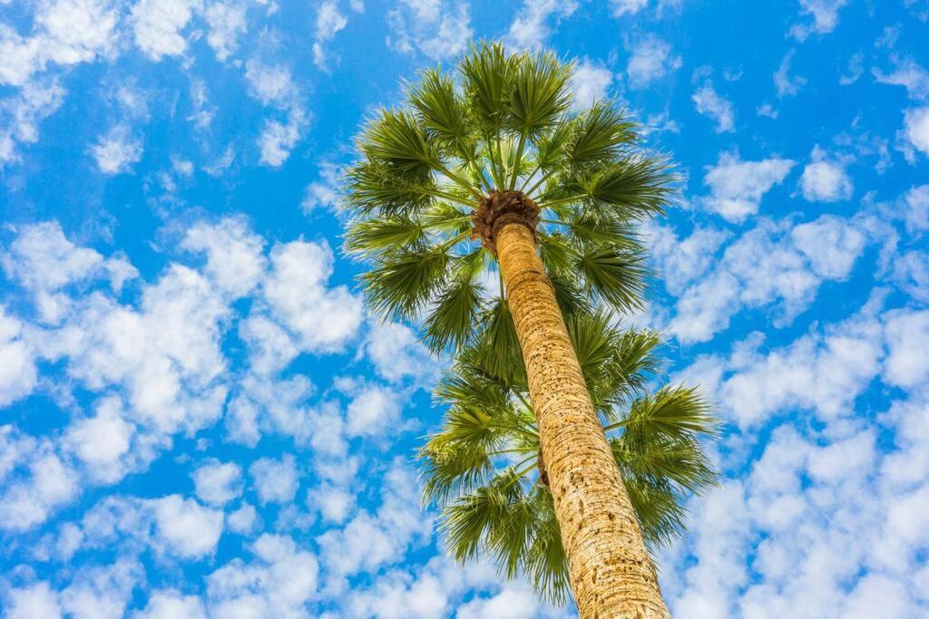 Large Studio Rooftop & Poolside - Walk To Old Town Scottsdale Luaran gambar